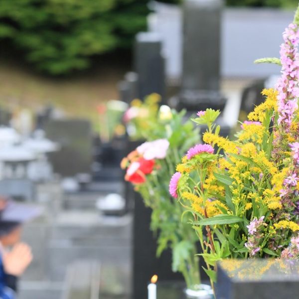 熊本総合ペット霊園ゆうみん社は猫の火葬を行っております