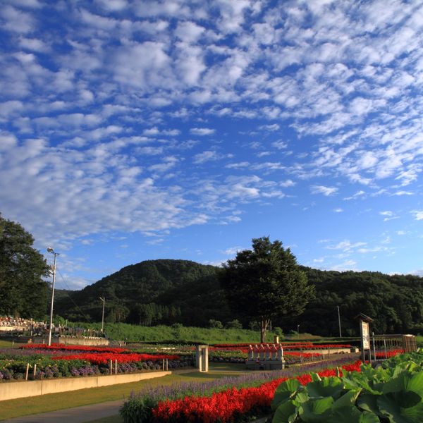 熊本総合ペット霊園ゆうみん社では葬儀を行っております