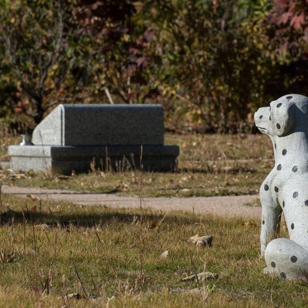 熊本総合ペット霊園ゆうみん社はおすすめの霊園です