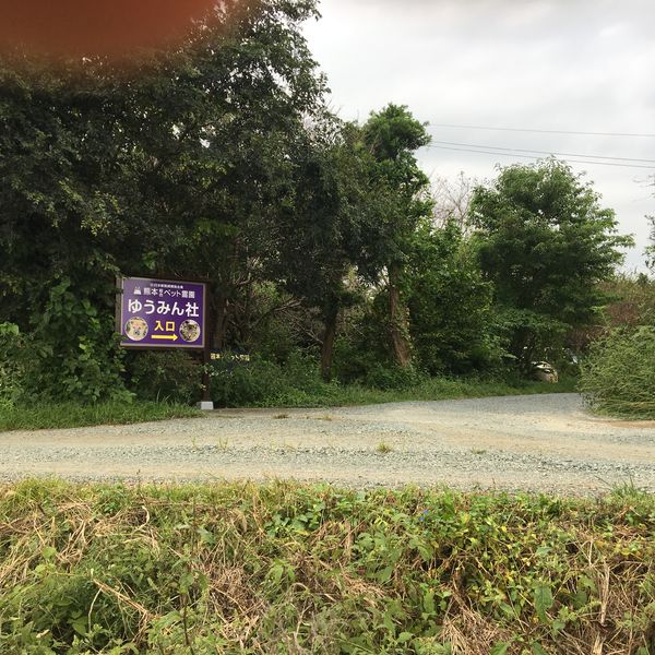 熊本県ペット霊園火葬料金のご案内